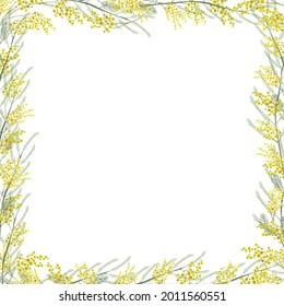 Vintage Decorative Frame. Mimosa. Greeting Card Design. Decorative botanical frame vector illustration.