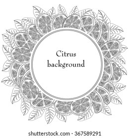 Vintage decorative frame of oranges and lemon. Vintage citrus background isolated on white. Textile and wallpaper fruit background. Vector illustration.