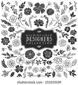 Vintage Decorative Plants And Flowers Collection. Hand Drawn Vector Design Elements