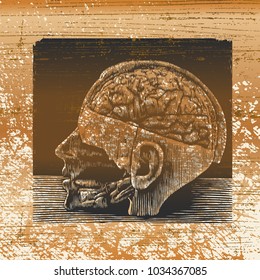 Vintage Design With Brain, Medical Visual Aids And Cratch Abstract Background. Vector illustration