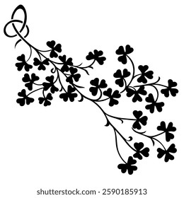 Vintage design with clover leaves and stems hand drawn in Irish Celtic ethnic style, isolated on white, vector illustration