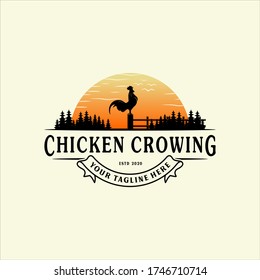 diseño vintage del pollo de entrepierna