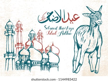 Vintage design of Eid Al Adha with Indonesian text, arabic calligraphy, and sheep sketch hand drawn vector illustration.