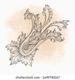 Vintage design elements set: Florals. Outlines on grunge background. Vector baroque illustration.