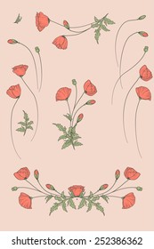 Vintage design floral set of poppies. Can be used for different design purposes