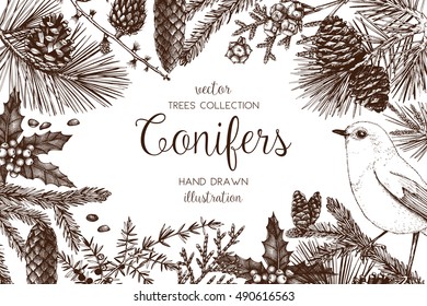 Vintage design for greeting card or invitation for Christmas celebration. Vector frame with hand drawn conifers: pine, spruce, cedar, cypress, fir, larch, juniper. Merry Christmas template
