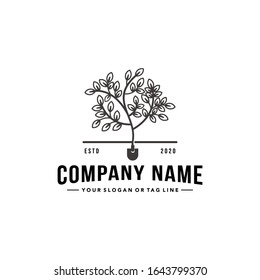 vintage design tree logo vector template