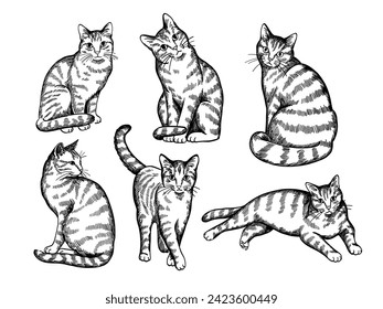 vintage detailed hand drawn cats pattern