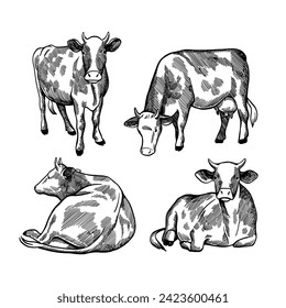 vintage detailed hand drawn cow pattern