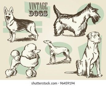 Vintage Dogs/Classic Retro Ornate Dog Collection