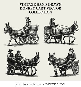 Vintage donkey cart hand drawing vector