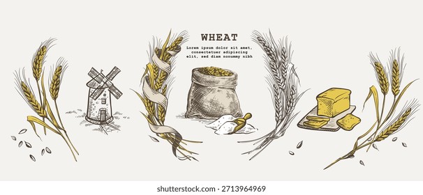 Vintage-Zeichnung einer Mühle. Brot auf einem Brett. Gerstenmalz zur Herstellung von Bier oder Whiskey. Vektorgrafik in einem Vintage-Gravierstil. Roggenohren. Weizenkranz mit Band. Stoffsack mit Mehl