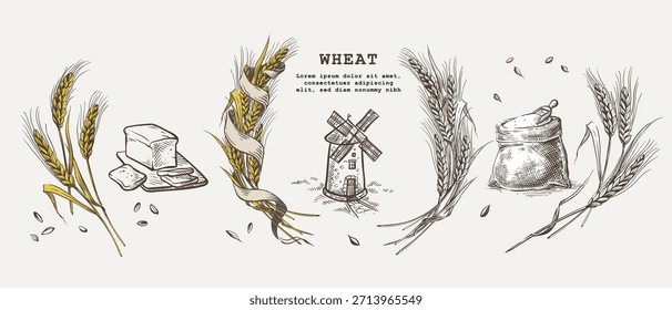 Vintage-Zeichnung einer Mühle. Brot auf einem Brett. Gerstenmalz für Bier, Whiskey-Herstellung. Vektorgrafik in einem Vintage-Gravierstil. Roggenohren. Weizenkranz mit Band. Leinwandsack mit Körnern