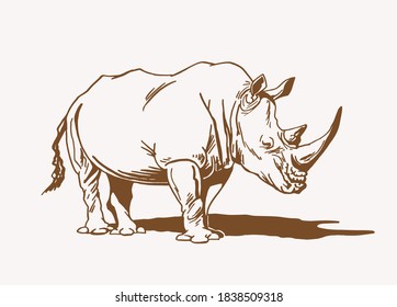 Vintage drawing of rhino , sepia background, vector illustration