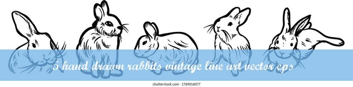 estilo de dibujo vintage de conejo en vector
