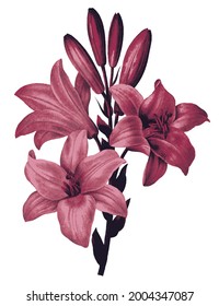Vintage drawn illustration of flower free download shutterstock perfect for fabrics, t-shirts, mugs, decals, pillows, logo, pattern and much more!