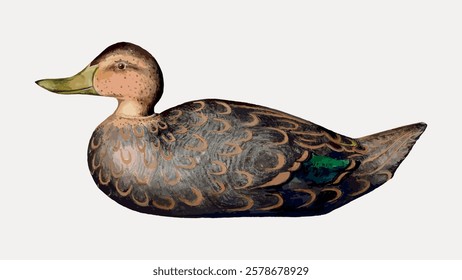 Vintage duck decoy illustration with detailed feathers. The duck decoy features intricate patterns and a realistic design. Perfect for duck enthusiasts and collectors. Vintage bird illustration vector