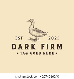 Vintage Duck Firm Logo. Hand Drawn Logo. Cross Hatching Duck Logo. Retro Vintage Hand Drawing Vector Illustration Logo.