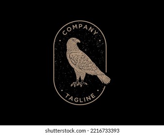 Vintage eagle logo template ilustration vector