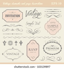 Vintage Elements And Page Decoration