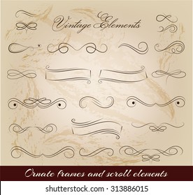 Vintage elements and page decoration. Ornate frames and scroll element.