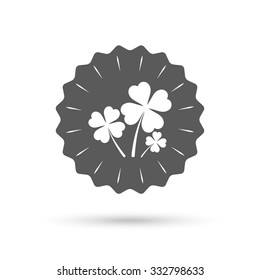 Vintage emblem medal. Clovers with four leaves sign icon. Saint Patrick symbol. Classic flat icon. Vector