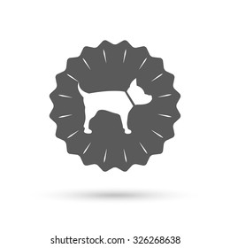 Vintage emblem medal. Dog sign icon. Pets symbol. Classic flat icon. Vector