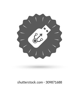 Vintage emblem medal. Usb sign icon. Usb flash drive stick symbol. Classic flat icon. Vector