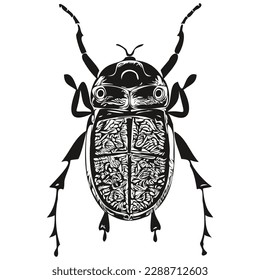 Vintage engrave isolated beetle illustration cut ink sketch beetles
