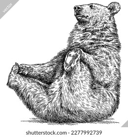 Vintage engrave isolated black bear set illustration ink sketch  American grizzly background asian animal silhouette vector art