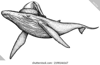 Vintage engrave isolated blue whale set christmas illustration humpback ink santa costume sketch. Wild cachalot background line new year hat giant dolphin vector art