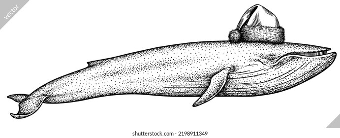 Vintage engrave isolated blue whale set christmas illustration humpback ink santa costume sketch. Wild cachalot background line new year hat giant dolphin vector art