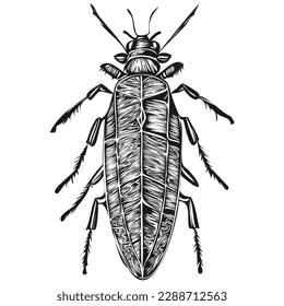 Vintage engrave isolated bug illustration cut ink sketch bugs
