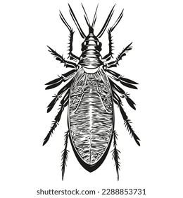 Vintage engrave isolated cockroach illustration cut ink sketch cockroaches
