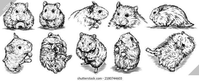 Vintage-Grab einzeln Hamster setzen Illustration Tinte Ratte Skizze. Wilde Maus-Hintergrund-Meerestiefe