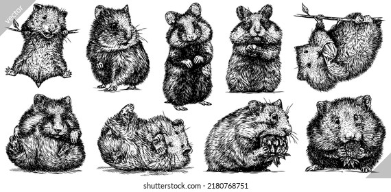 Vintage-Grab einzeln Hamster setzen Illustration Tinte Ratte Skizze. Wilde Maus-Hintergrund-Meerestiefe