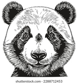 Vintage engrave isolated Panda illustration cut ink sketch Pandas
