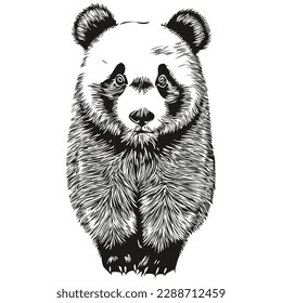 Vintage engrave isolated Panda illustration cut ink sketch Pandas
