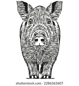Vintage engrave isolated Pig illustration cut ink sketch hog
