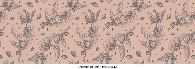 Vintage engraved coffee branch pattern. Coffee package seamless background for coffee shop banner template with vector beans drawing in engraving style. Coffee roasting banner. Organic brand.