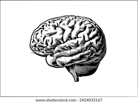 A vintage engraved drawing of brain side view vector illustration isolated on white background