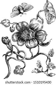 Vintage engraved flower and butterflies black and white illustration 