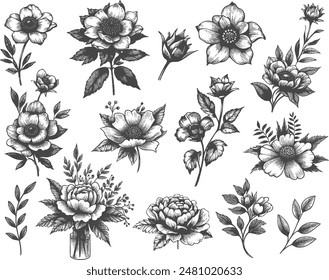 vintage engraved flowers, vector set, editable ornamental elements, botanical