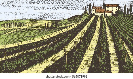 Vintage engraved, hand drawn vineyards landscape, tuskany fields, old looking scratchboard or tatooo style wine company bottle design