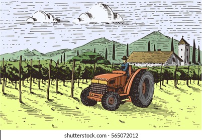 Vintage engraved, hand drawn vineyards landscape, tuskany fields, old looking scratchboard or tatooo style wine company bottle design