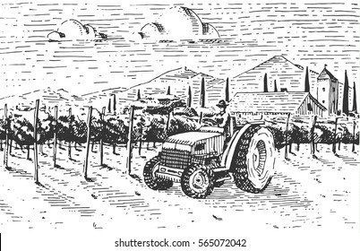 Vintage engraved, hand drawn vineyards landscape, tuskany fields, old looking scratchboard or tatooo style wine company bottle design