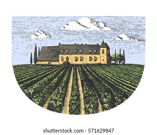 Vintage engraved, hand drawn vineyards landscape, tuskany fields, old looking scratchboard or tatooo style.
