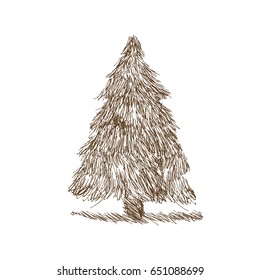vintage engraved style hand drawn tree, sketch