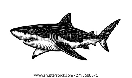 Vintage engraved woodcut shark. Vector stock