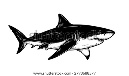 Vintage engraved woodcut shark. Vector stock